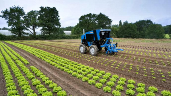 Exploitation et modernisation de la filière agricole